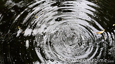 水滴的落下在波浪的水面上产生了巨大的涟漪股票视频 视频包括有水滴的落下在波浪的水面上产生了巨大的涟漪 水滴的落下在波浪的水面上产生了巨大的涟漪股票视频 视频包括有水滴的落下在波浪的水面上产生了巨大的涟漪