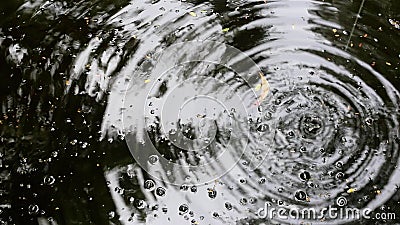 水滴的落下在波浪的水面上产生了巨大的涟漪股票视频 视频包括有水滴的落下在波浪的水面上产生了巨大的涟漪 水滴的落下在波浪的水面上产生了巨大的涟漪股票视频 视频包括有水滴的落下在波浪的水面上产生了巨大的涟漪