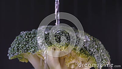 清洗倒满蔬菜的西兰花水影视素材 视频包括有行动 倾吐 清洁 慢慢 饮食 成份 副食品 清洗倒满蔬菜的西兰花水影视素材 视频包括有行动 倾吐 清洁 慢慢 饮食 成份 副食品