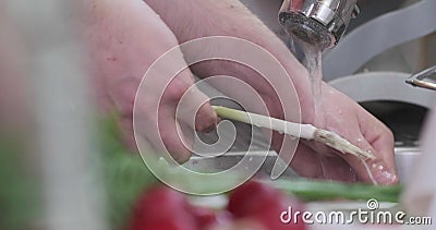 在自己手中洗青苹果在灰色背景慢动作的水溅射法 人手以黑色连指手套举行绿色影视素材 视频包括有烹调 有机 在自己手中洗青苹果在灰色背景慢动作的水溅射法 人手以黑色连指手套举行绿色影视素材 视频包括有烹调 有机