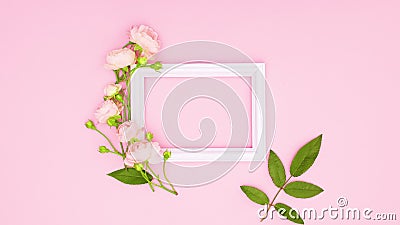 玫瑰花的浪漫装饰与空白的粉色主题文字框 停止运动股票视频 视频包括有装饰 投反对票 绿色