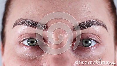 专业眉毛造型影视素材 视频包括有女性 胡子 清洁 眉头 自然 表面 成人 关闭 更正 专业眉毛造型影视素材 视频包括有女性 胡子 清洁 眉头 自然 表面 成人 关闭 更正