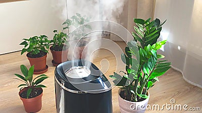 空气加湿器将蒸汽扩散到与室内植物一起营造舒适氛围的生活空间影视素材 视频包括有室内 方便 空气加湿器将蒸汽扩散到与室内植物一起营造舒适氛围的生活空间影视素材 视频包括有室内 方便