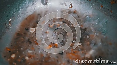 肮脏的阻塞的水盆水槽堵塞与食物微粒的厨房流失股票视频 视频包括有障碍物 设备 现有量 退出