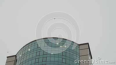 阴天在现代玻璃办公楼上空盘旋的鸟股票视频 视频包括有云彩 查找 现代 街市 设计 当代 阴天在现代玻璃办公楼上空盘旋的鸟股票视频 视频包括有云彩 查找 现代 街市 设计 当代
