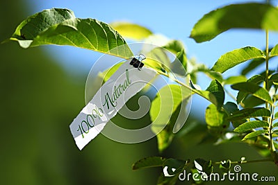 100 percent natural message in nature Stock Photo