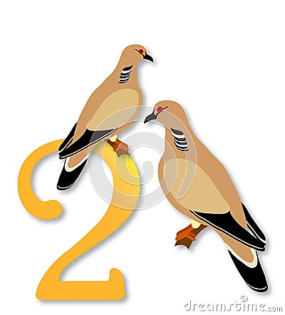 12 Days of Christmas: 2 Turtle Doves Stock Photo