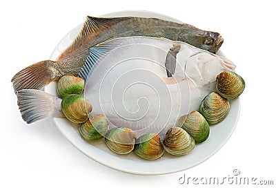 2 Sand Flounder fish and Clams Stock Photo