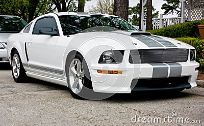 2009 Ford Shelby GT 350 Stock Photo