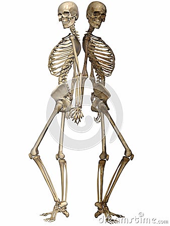 3 D Skeletons - Friends for ever Stock Photo