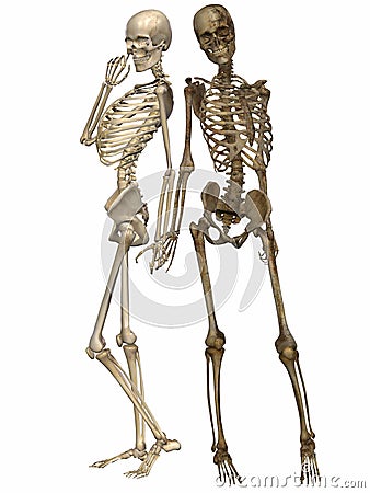 3 D Skeletons - Friends for ever Stock Photo