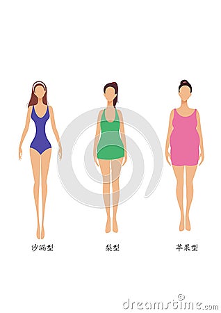 3 woman body shapes, slim, chubbiness and fat Cartoon Illustration