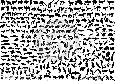 300 animal silhouettes Vector Illustration