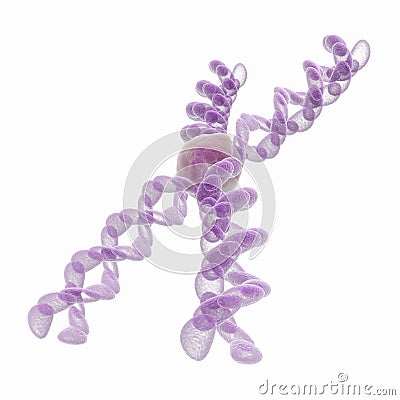 3d chromosome Stock Photo