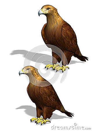 3D Eagle Cartoon Illustration