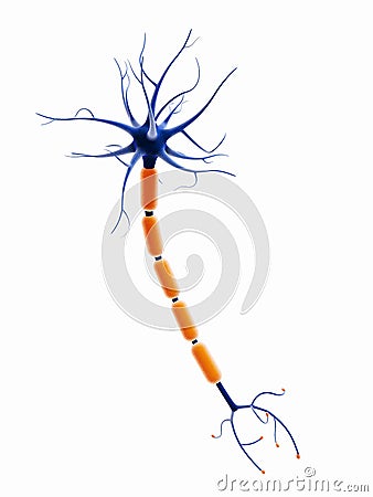 3D neuron cell Stock Photo