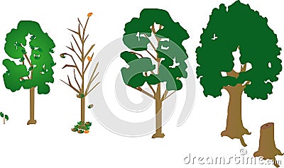 4 trees, a sapling and a dead trunk.. tree growth Vector Illustration