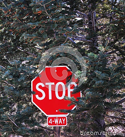 4-Way Stop Sign Stock Photo