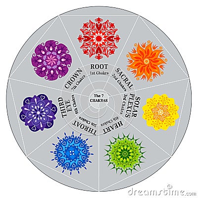 7 Chakras Color Chart with Mandalas Vector Illustration