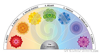 7 Chakras Color Chart / Semicircle with Mandalas Vector Illustration