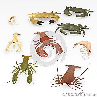 9 crustacean animals Stock Photo