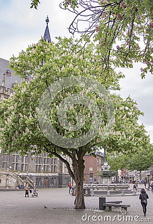 The market in Aachen, directly in front of the Aachen town hall. Editorial Stock Photo