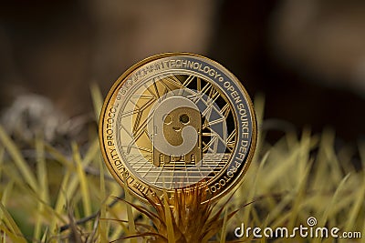 Aave Crypto Coin Placed on Cactus Spikes Stock Photo