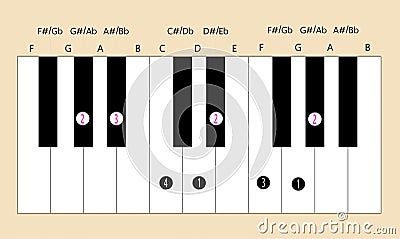 Ab major scale fingering for piano to use with every application Vector Illustration