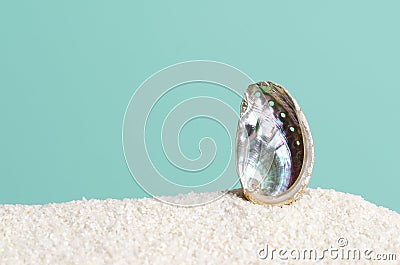 Abalone shell on white sand on turquoise background Stock Photo