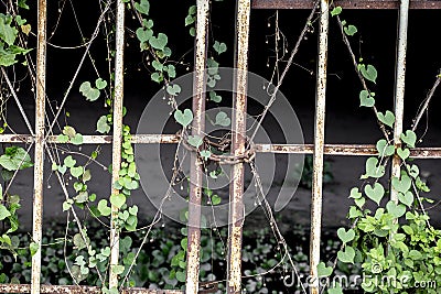 Abandon locked place. Stock Photo