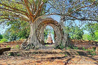 Abandoned Ancient Buddhist Temple Ruins of Wat Phra Ngam from Late Ayutthaya Period in The Historic City of Ayutthaya, Thailand Stock Photo