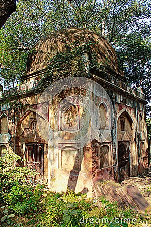 Abandoned Archaeological Village complex in Mehrauli Stock Photo