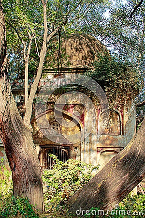 Abandoned Archaeological Village complex in Mehrauli Stock Photo