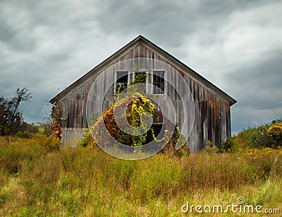 Abandoned barn in autumn Stock Photo