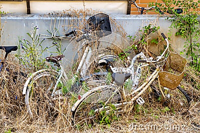 Abandoned bicyles Editorial Stock Photo