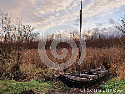 Abandoned boat in Biesbosch National Park, Brabant Editorial Stock Photo