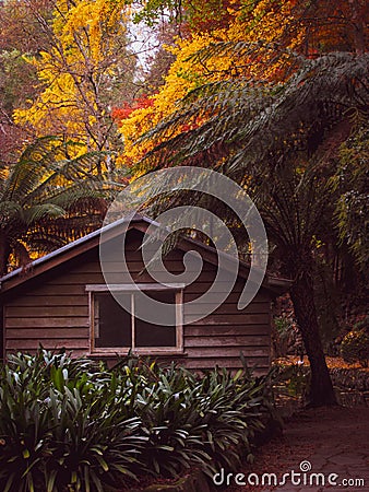 Abandoned boat shed againts the background of Sherbrooke forest Stock Photo