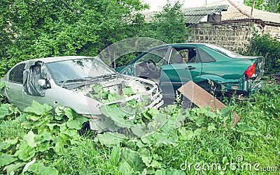 Abandoned cars in the green forest Stock Photo
