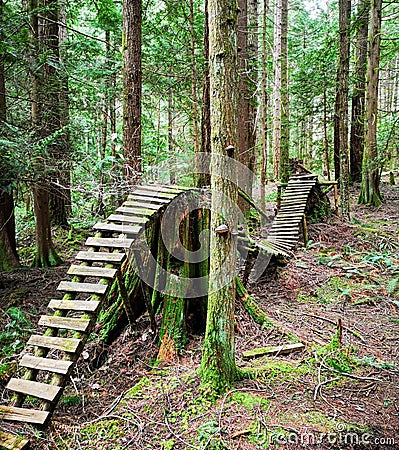 An abandoned, decaying series of bike ramps in a forest Stock Photo