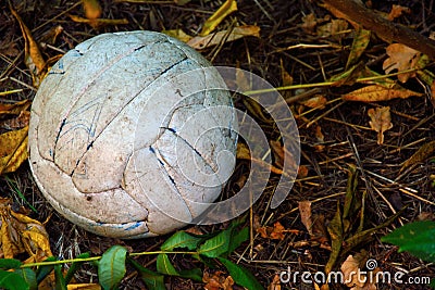 abandoned dirty football Stock Photo