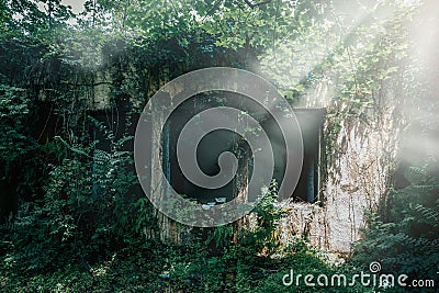 Abandoned facade overgrown with vegetation, remnants of a building swallowed by nature Stock Photo