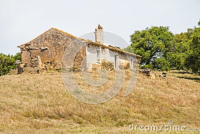 Abandoned farm house and plantation in Santiago do Cacem Stock Photo