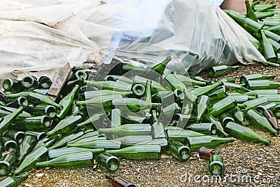 Abandoned glass factory. packed bottles in pallets, broken bottles on asphalt, lots of loose bottles and garbage from production. Stock Photo