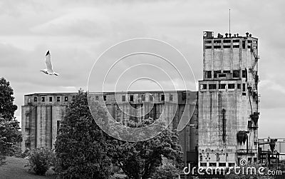 Abandoned Grain Elevator Stock Photo