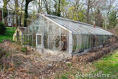 An Abandoned Greenhouse Full of Dead Plants Stock Photo