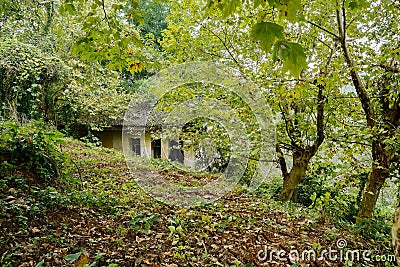 Abandoned hillside tile-roofed dwelling building of 1960s in woods Stock Photo