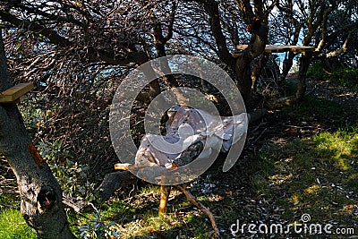Abandoned homeless bed under trees Stock Photo