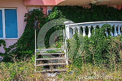 Abandoned hotel on the beach, covered in green grass and climbing ivy plant, nature take over concept, building facade Editorial Stock Photo