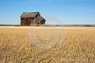 Abandoned house in harvested wheat fieldfall Stock Photo
