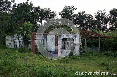 The abandoned house inhabited forest occurs the placental opacity Stock Photo
